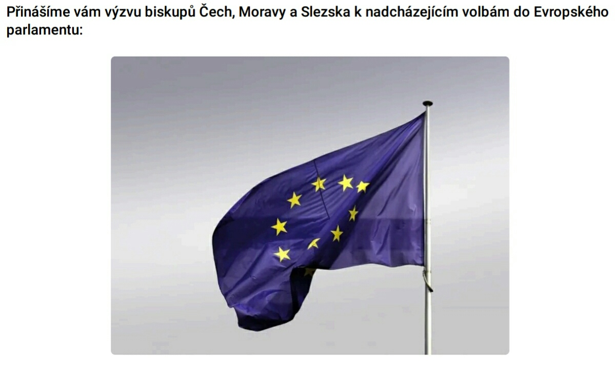vyzva_biskupu_k_volbam_do_ep.png